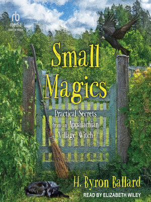 cover image of Small Magics